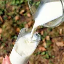 Переработчики молока в Башкирии несут убытки из-за резкого роста цен на сырье – Ильдар Файзуллин