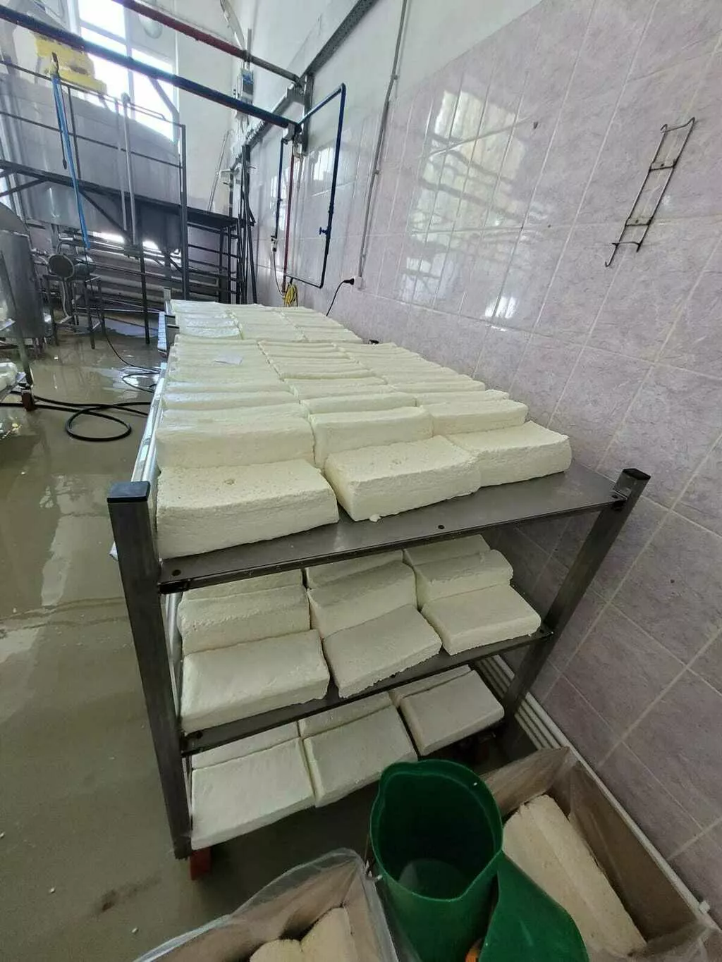 обежиренный сыр кальтта (сыроное зерно) в Янауле